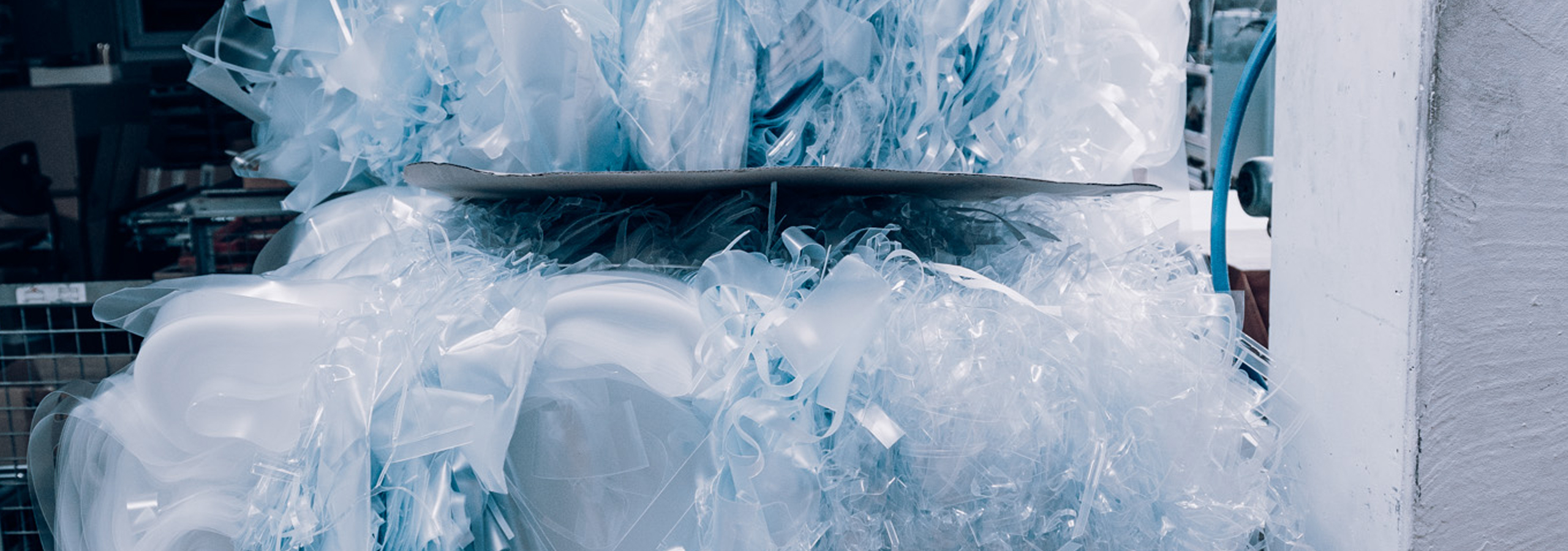 umfassende Betreuung